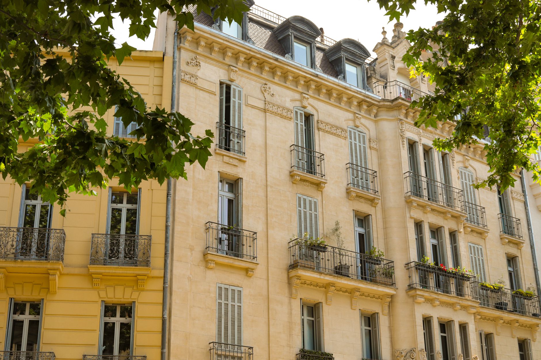 Agence immobilière à Saint-Louis
